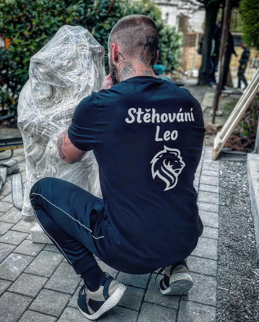 Stěhování domu